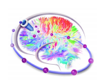 Subcortical Surgery Group